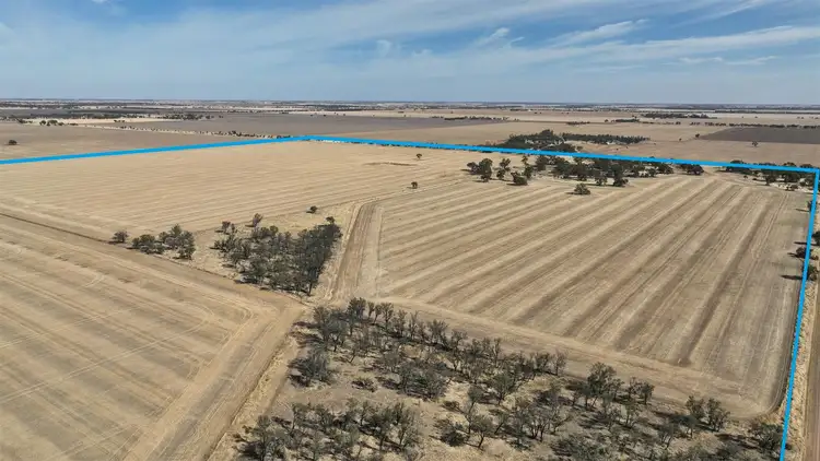Fourth view of Homely rural property listing, . Newells / Barrat Road, Wallup VIC 3401