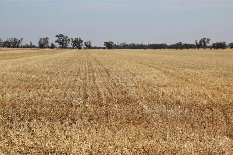 Fifth view of Homely rural property listing, . Newells / Barrat Road, Wallup VIC 3401