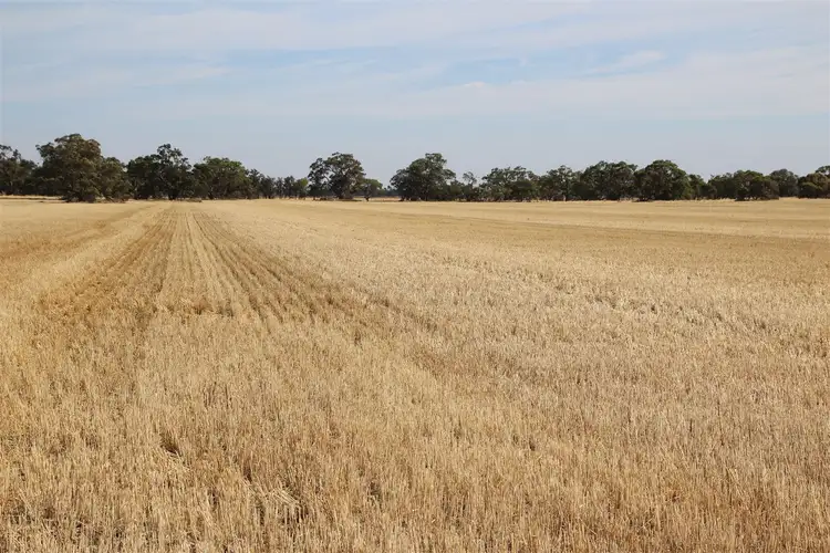Seventh view of Homely rural property listing, . Newells / Barrat Road, Wallup VIC 3401