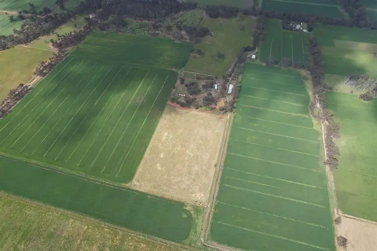 Third view of Homely rural property listing, 655 Madill Road, Undera VIC 3629