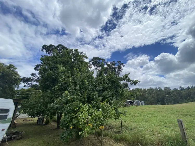 Seventh view of Homely rural property listing, 1247 Yarram Morwell Road, Staceys Bridge VIC 3971