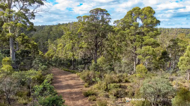Main view of Homely rural property listing, Lot 1 1350 Honeysuckle Road, Tooms Lake TAS 7209