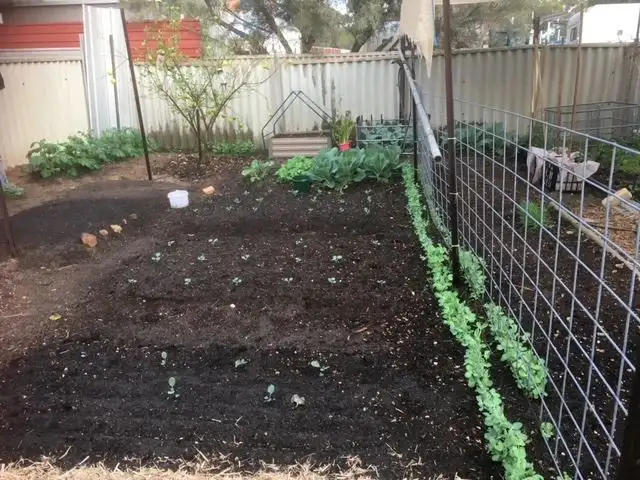 Fourth view of Homely house listing, 31 Bewsher Street, Moora WA 6510