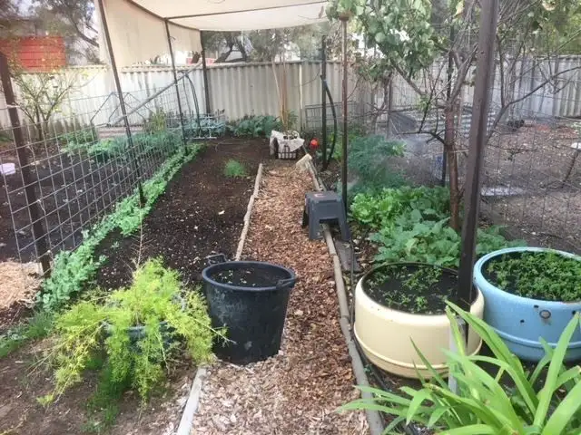 Fifth view of Homely house listing, 31 Bewsher Street, Moora WA 6510