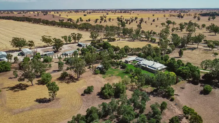 Fifth view of Homely rural property listing, 763 Frances Road, Bordertown SA 5268