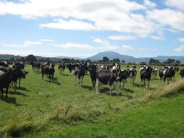 357 Dairy Plains Road, Deloraine TAS 7304