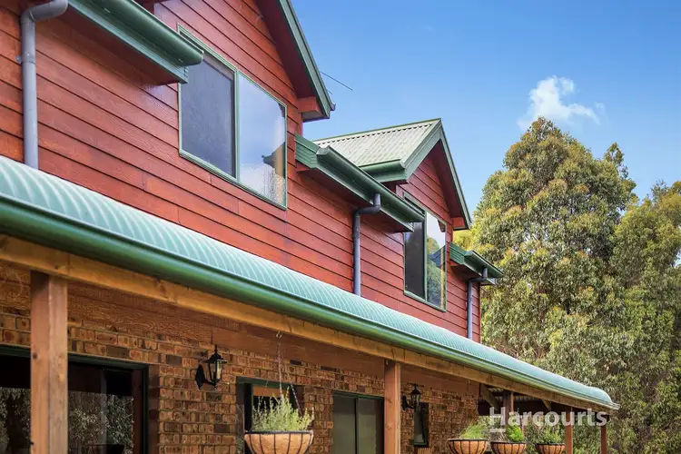 Fourth view of Homely rural property listing, 117 Purtons Road, North Motton TAS 7315