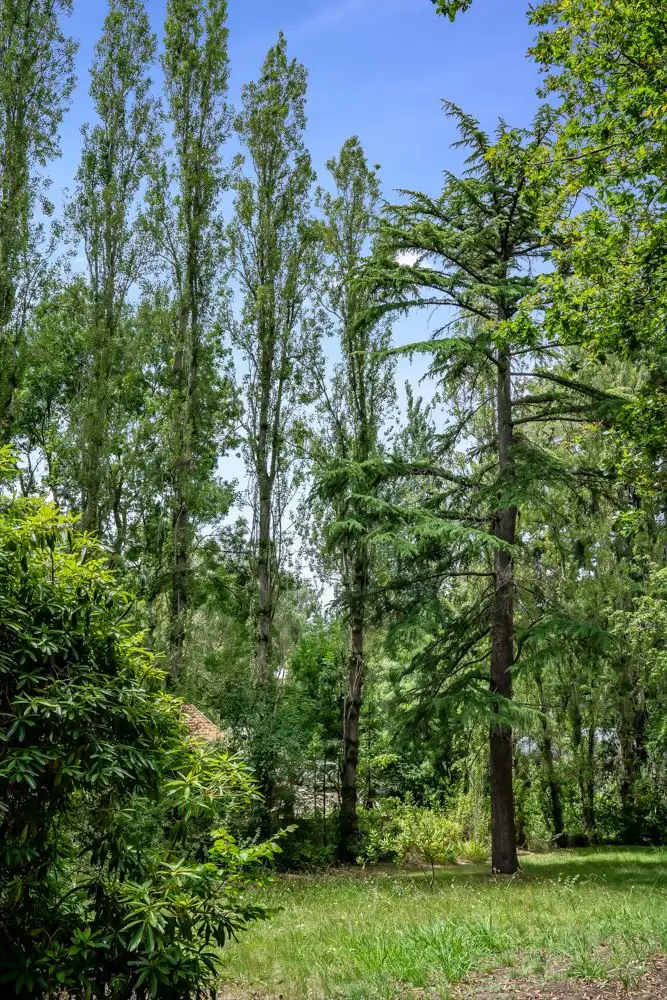 Main view of Homely land listing, 6 Shannon Road, Bridgewater SA 5155