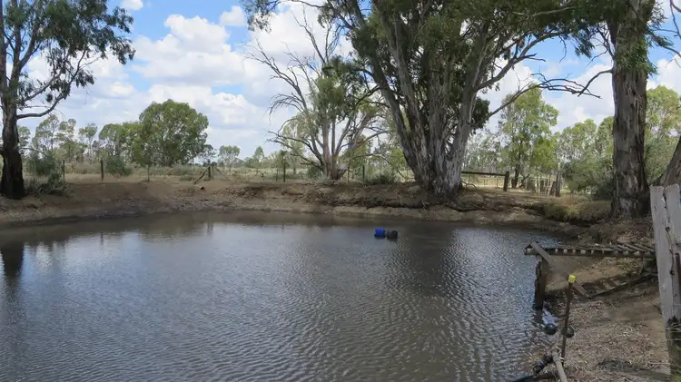 Main view of Homely rural property listing, 161 Nichol Road, Koondrook VIC 3580