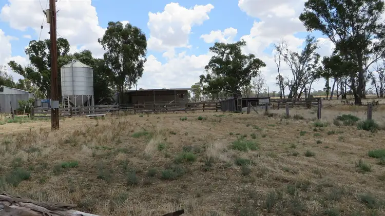 Third view of Homely rural property listing, 161 Nichol Road, Koondrook VIC 3580