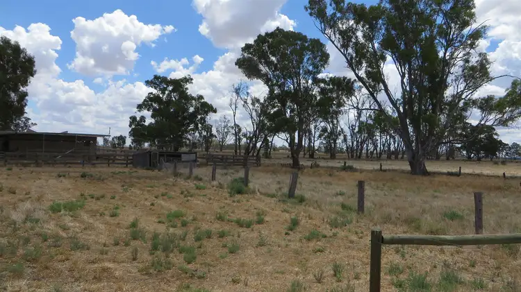 Fourth view of Homely rural property listing, 161 Nichol Road, Koondrook VIC 3580