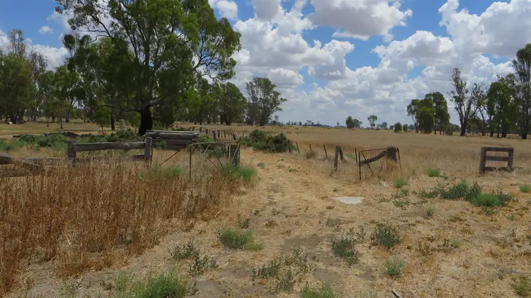 Seventh view of Homely rural property listing, 161 Nichol Road, Koondrook VIC 3580