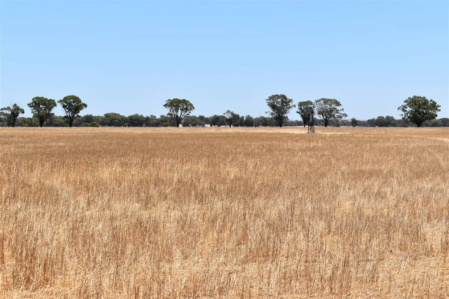 Main view of Homely rural property listing, ' Kynterne ', Boyerine WA 6316