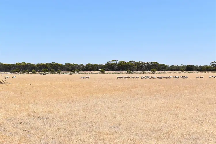 Fifth view of Homely rural property listing, ' Kynterne ', Boyerine WA 6316