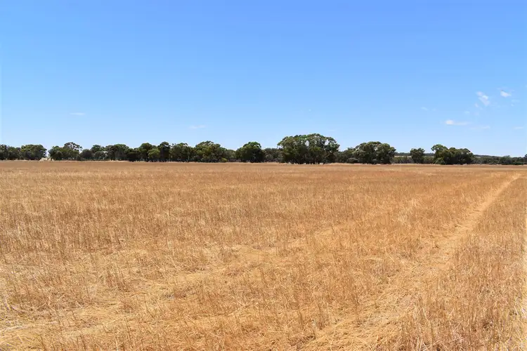 Sixth view of Homely rural property listing, ' Kynterne ', Boyerine WA 6316