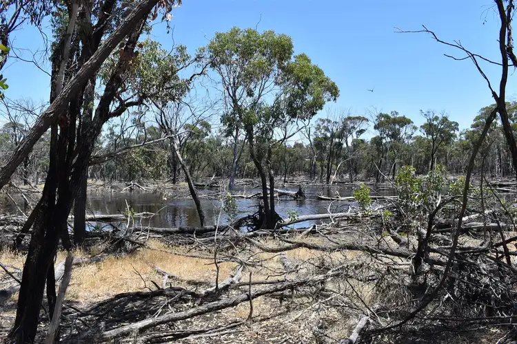 Seventh view of Homely rural property listing, ' Kynterne ', Boyerine WA 6316