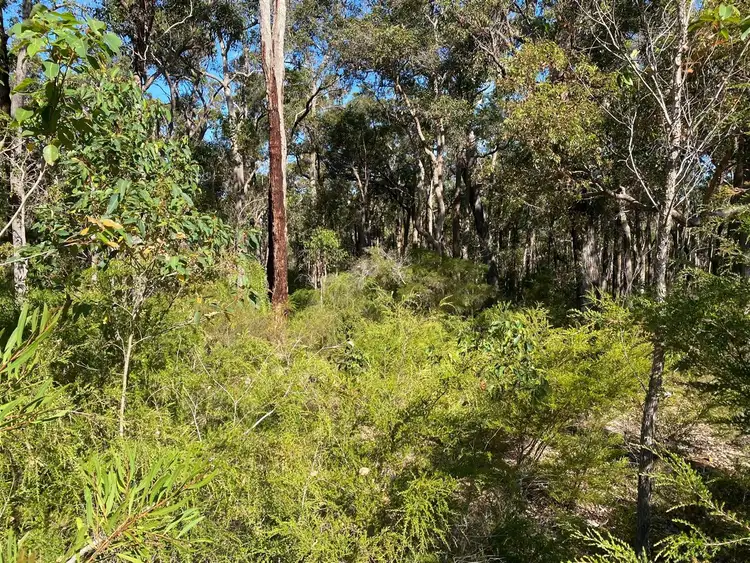 Third view of Homely land listing, 6 Braidwood Elbow, Denmark WA 6333