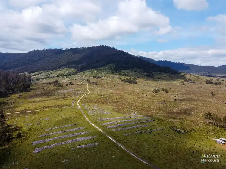 Second view of Homely rural property listing, 117 Phillips Road, Blessington TAS 7212