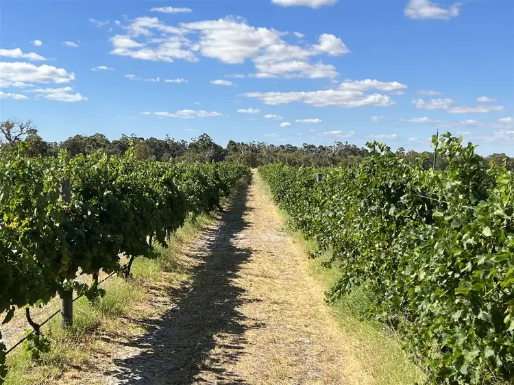 Sixth view of Homely rural property listing, 485 Oates Road, Tutunup WA 6280