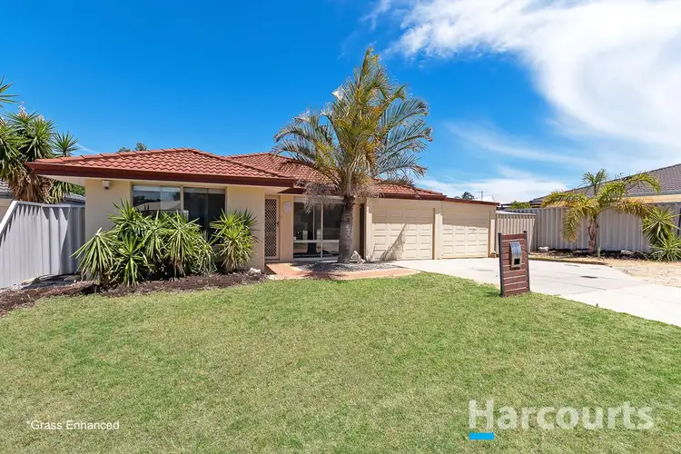 4 Mulga Court, Banksia Grove WA 6031
