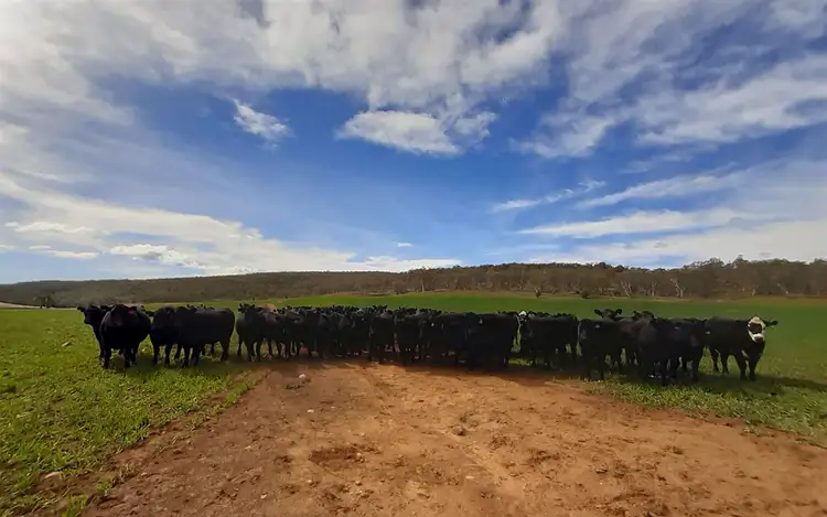 Sixth view of Homely rural property listing, Lot 17 Bobeyan Road, Adaminaby NSW 2629