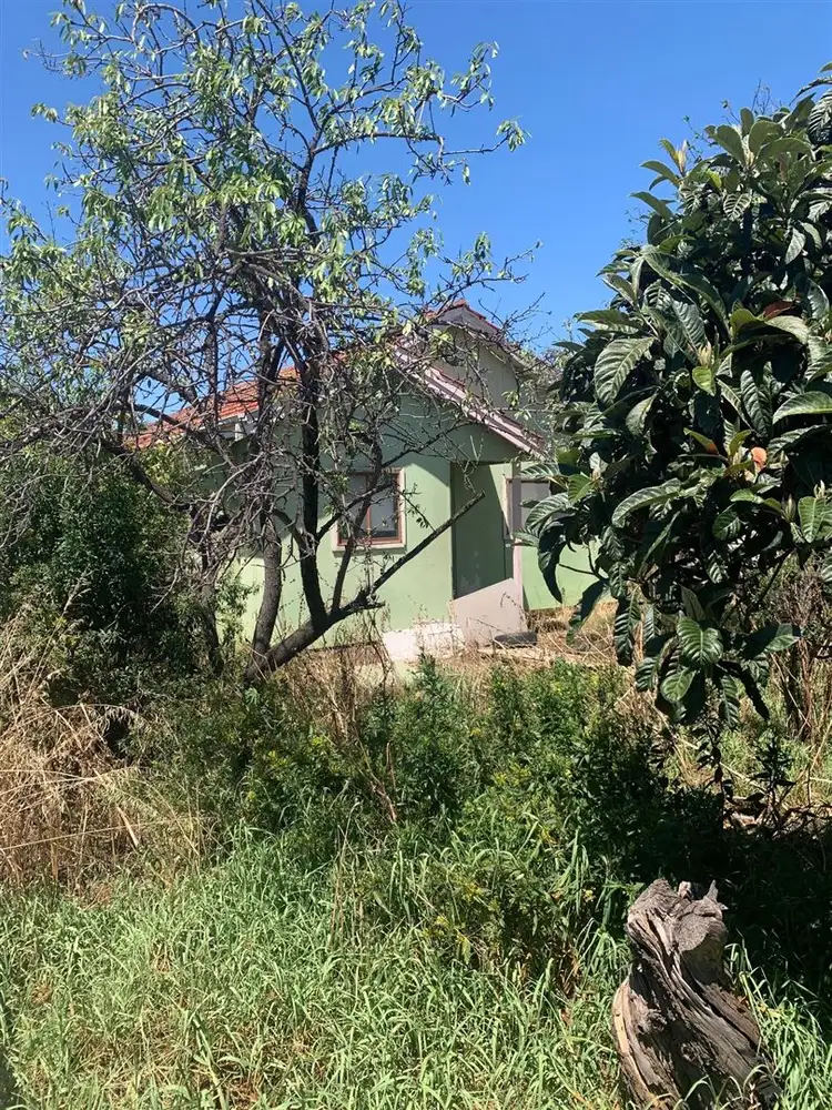 Third view of Homely house listing, 16 Twelfth Avenue, Woodville North SA 5012