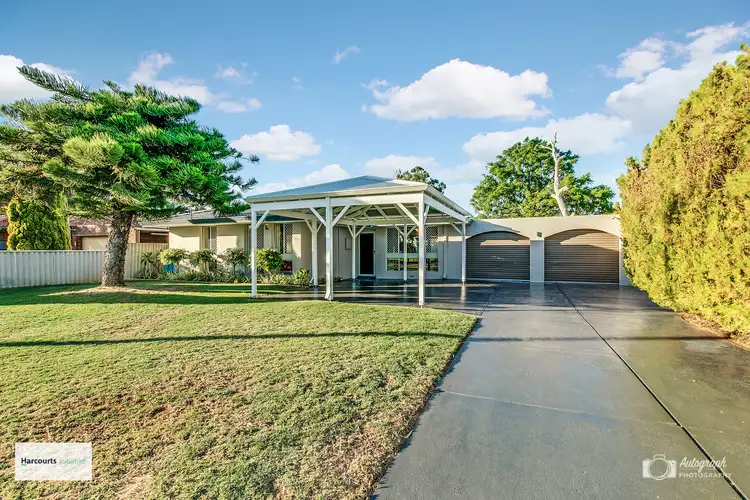 Main view of Homely house listing, 13 Whitehouse Drive, Koondoola WA 6064