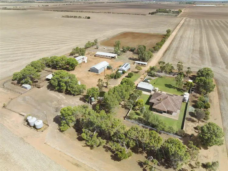 Main view of Homely rural property listing, 318 Tiller Road, Balaklava SA 5461