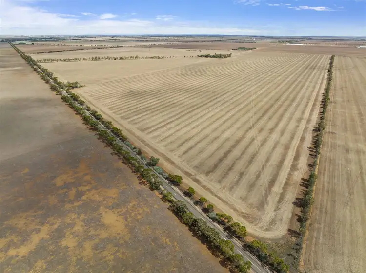 Second view of Homely rural property listing, 318 Tiller Road, Balaklava SA 5461