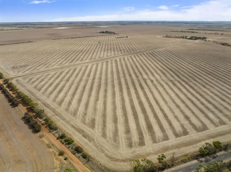 Third view of Homely rural property listing, 318 Tiller Road, Balaklava SA 5461