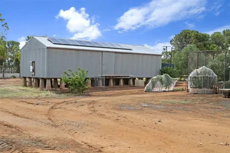 Fifth view of Homely rural property listing, 318 Tiller Road, Balaklava SA 5461
