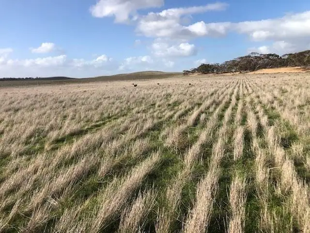 Main view of Homely rural property listing, Lot 33 Ortloff Road, Meribah SA 5311