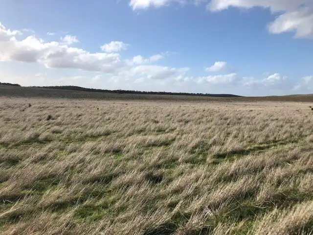 Second view of Homely rural property listing, Lot 33 Ortloff Road, Meribah SA 5311