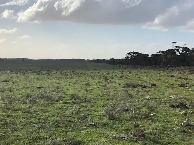 Third view of Homely rural property listing, Lot 33 Ortloff Road, Meribah SA 5311