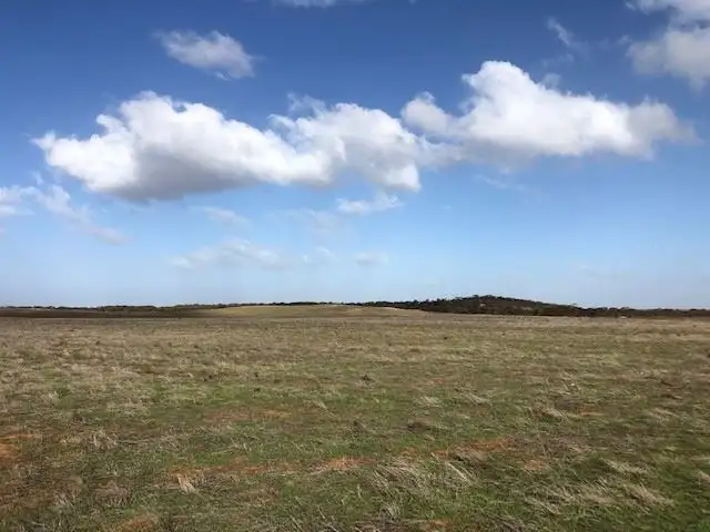 Fifth view of Homely rural property listing, Lot 33 Ortloff Road, Meribah SA 5311