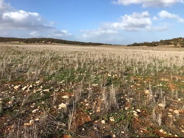 Sixth view of Homely rural property listing, Lot 33 Ortloff Road, Meribah SA 5311
