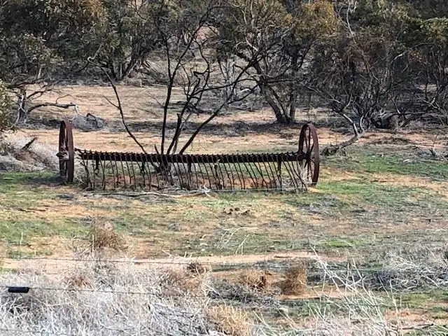 Seventh view of Homely rural property listing, Lot 33 Ortloff Road, Meribah SA 5311