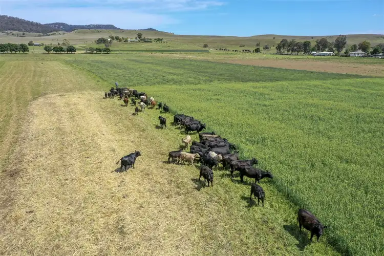 Fifth view of Homely rural property listing, 669 Martindale Rd, Denman NSW 2328