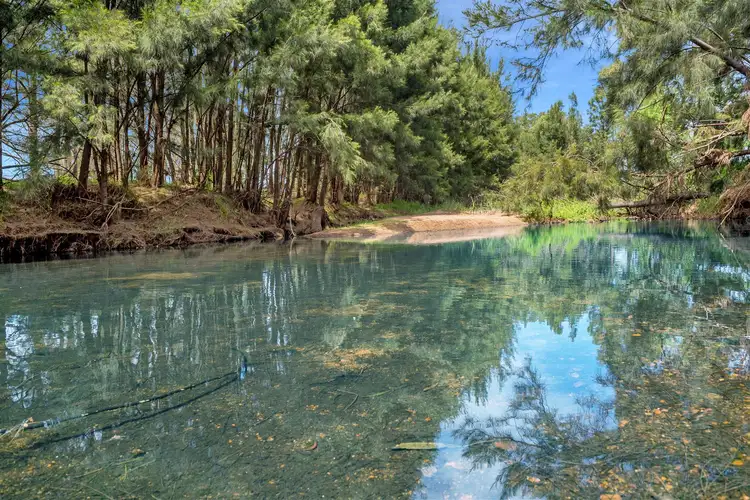 Seventh view of Homely rural property listing, 669 Martindale Rd, Denman NSW 2328