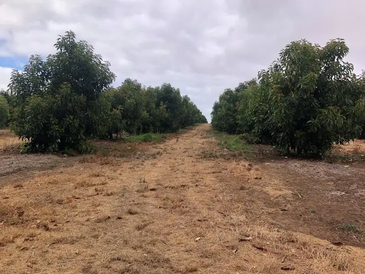 Fourth view of Homely rural property listing, ' Yanmah', Yanmah WA 6258