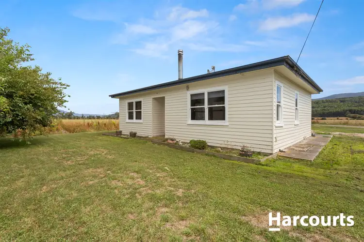 1442 Mole Creek Road