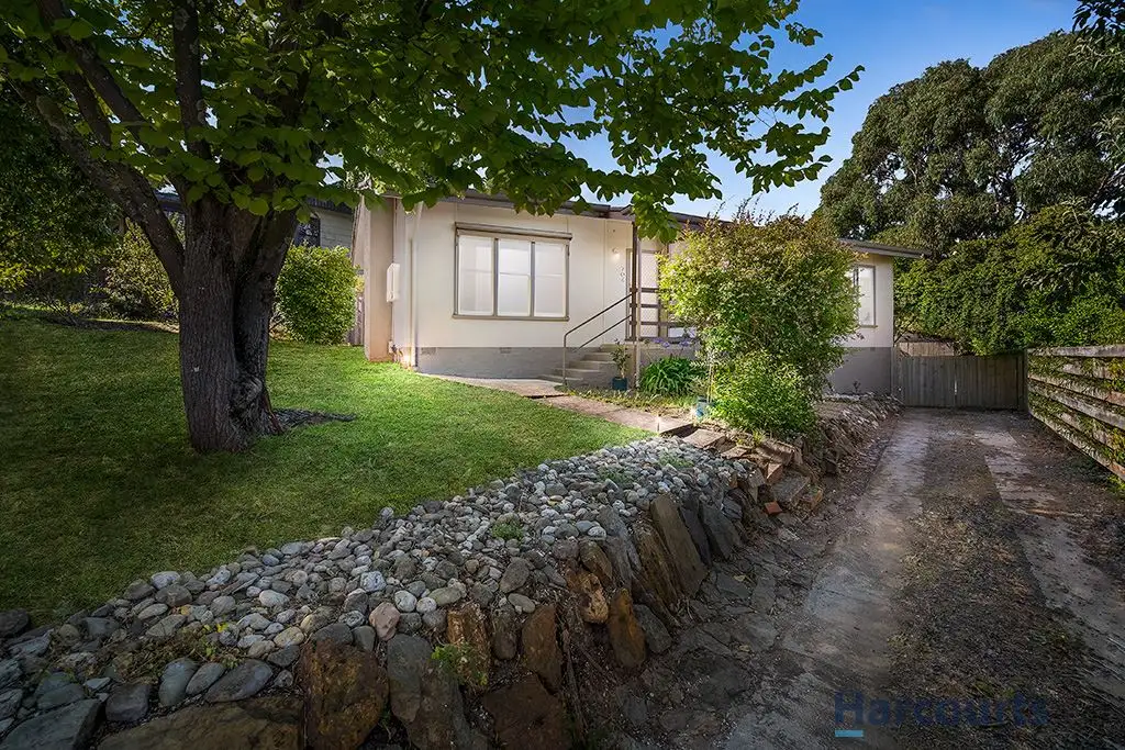 Main view of Homely house listing, 704 York Street, Ballarat East VIC 3350