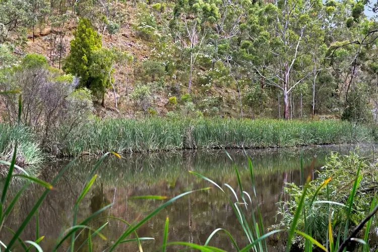 Fourth view of Homely rural property listing, 316C Ackland Hill Road, Coromandel East SA 5157