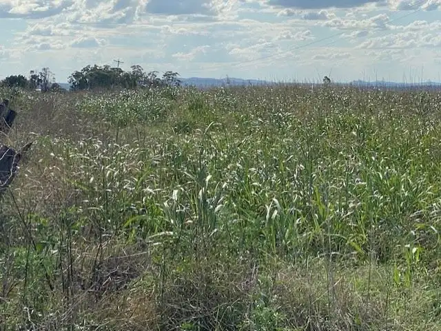 Fourth view of Homely land listing, Lot 77 Corner Hendon Goomburra Road and New England Highway, Mount Marshall QLD 4362