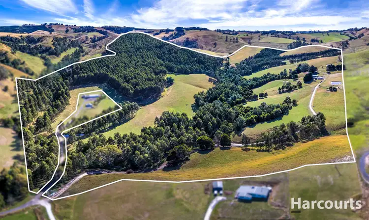 136 O'Tooles Road, Wild Dog Valley VIC 3953