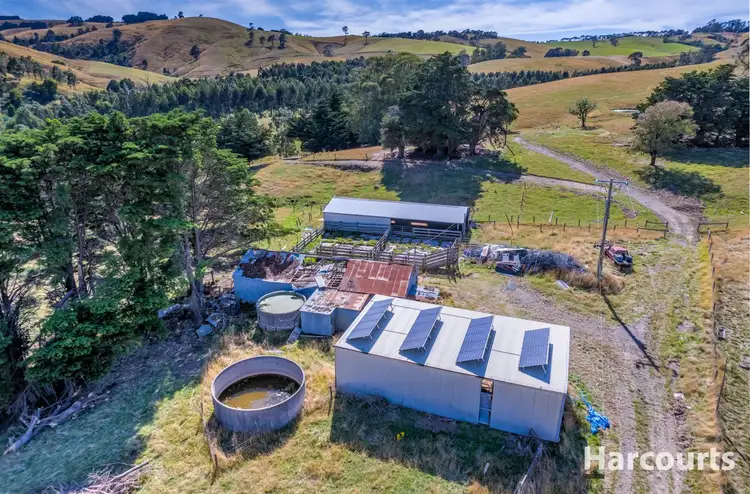 Fourth view of Homely rural property listing, 136 O'Tooles Road, Wild Dog Valley VIC 3953
