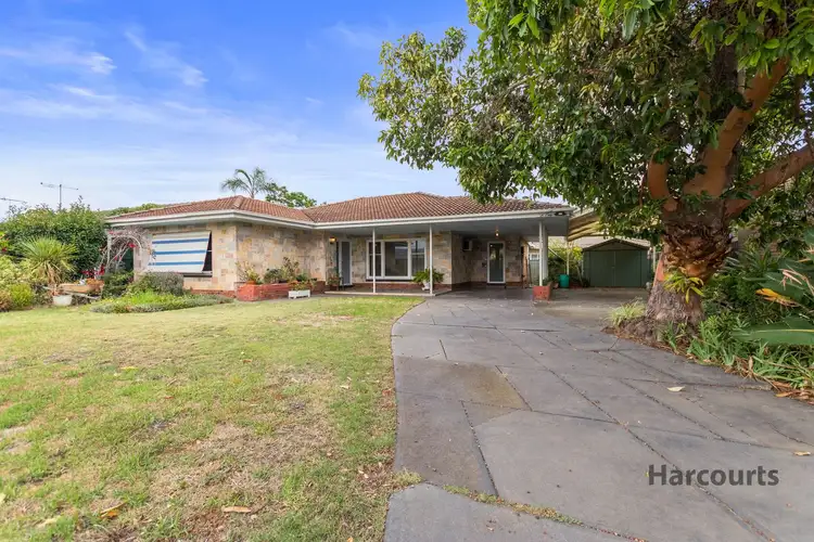 13 Skinner Street, Ascot Park SA 5043