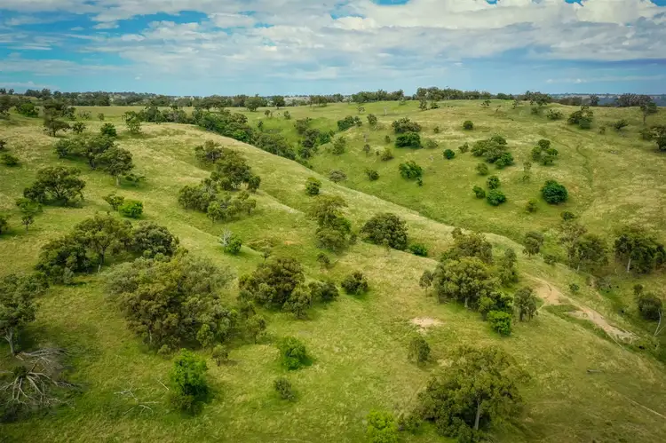 821 Neilrex Road, Coolah NSW 2843