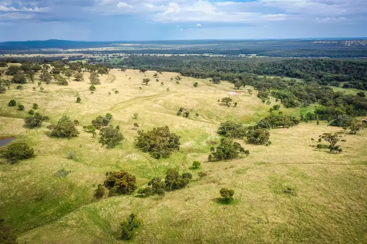 Fourth view of Homely rural property listing, 821 Neilrex Road, Coolah NSW 2843