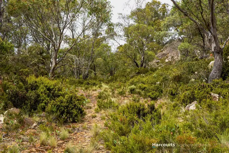 Fourth view of Homely land listing, 342 Tods Corner Road, Tods Corner TAS 7030
